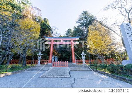 香取神社：朱紅色的鳥居和秋葉金黃的景色 136637342