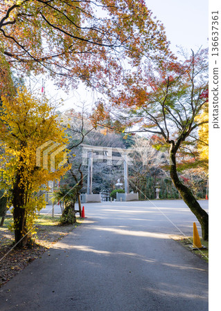 香取神社:鳥居及被黃葉環繞的秋日景色。 香取神社:鳥居及被黃葉環繞的秋日景色。 136637361