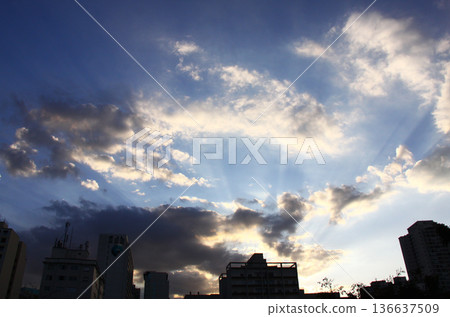 巴西聖保羅的日落天空 136637509