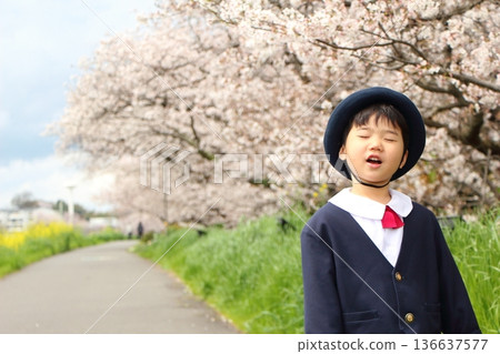 Infant wearing kindergarten uniform, entrance ceremony, graduation ceremony 136637577