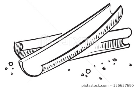 Cinnamon stick drawing. Cooking spice herb sketch Cinnamon stick drawing. Cooking spice herb sketch 136637690