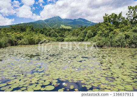 Niigata Imori Pond and Mt. Myoko Niigata Imori Pond and Mt. Myoko 136637911