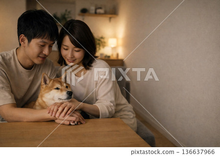 夜色中暖色調的空白區域,兩隻紅色的柴犬將下巴擱在爪子上。 夜色中暖色調的空白區域,兩隻紅色的柴犬將下巴擱在爪子上。 136637966