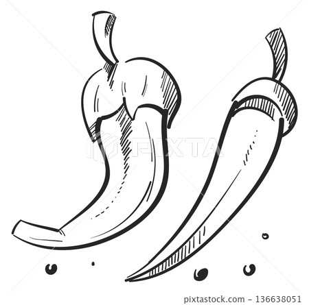 Hot pepper drawing. Spicy cooking food doodle Hot pepper drawing. Spicy cooking food doodle 136638051