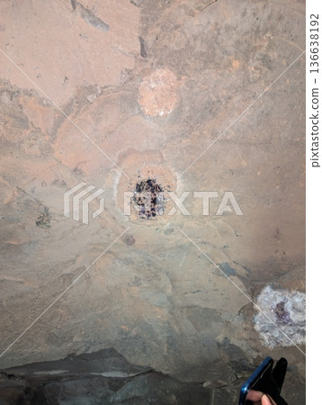 An undeveloped Amethyst geode in basalt rock. Wanda mines in Misiones Province, Argentina 136638192