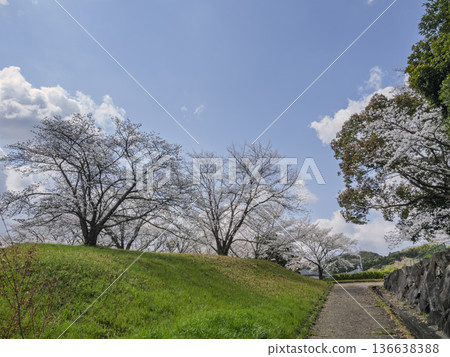 The silent ruins of Mise Castle and the lush green scenery of the mountain castle The silent ruins of Mise Castle and the lush green scenery of the mountain castle 136638388