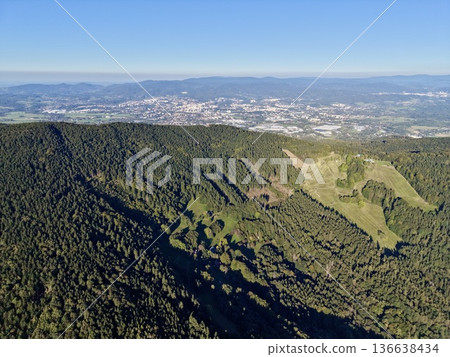 Countryside Blends Into Urban Area, Quiet Tree Canopy Contrasts With Precise City Layout In Landscape 136638434