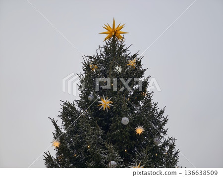 Bright Holiday Display Featuring Decorated Conifer In Tranquil Park Setting During Daylight Bright Holiday Display Featuring Decorated Conifer In Tranquil Park Setting During Daylight 136638509