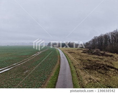 Calm Country Route Weaving Through Expansive Meadows Toward Distant Tree Horizons Under Cloudy Sky Calm Country Route Weaving Through Expansive Meadows Toward Distant Tree Horizons Under Cloudy Sky 136638542