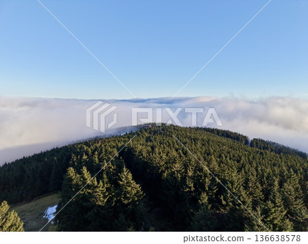 Sunrise Over Majestic Forested Ridge, Sunlit Mountain Ridge Emerges Above Floating Sea Of Clouds At Dawn 136638578