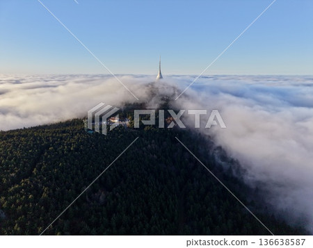 Camouflaged Lookout Among Trees, Aerial View Revealing Hidden Structures Behind Foggy Evergreen Forest 136638587