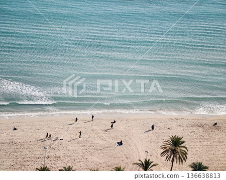 Serene Seaside Scene, Calm Ocean With Beachgoers, Tranquil Coast With Gentle Waves And Palms Serene Seaside Scene, Calm Ocean With Beachgoers, Tranquil Coast With Gentle Waves And Palms 136638813
