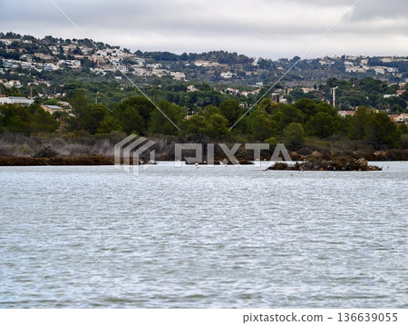 Wetlands And Town, Marshlands And Distant Cityscape Showcase Habitat And Urban Boundary Interaction Wetlands And Town, Marshlands And Distant Cityscape Showcase Habitat And Urban Boundary Interaction 136639055