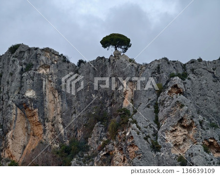 Solitary Pine Tree Perched Atop Jagged Rocks At Twilight Creating Dramatic And Inspiring Visual Narrative Solitary Pine Tree Perched Atop Jagged Rocks At Twilight Creating Dramatic And Inspiring Visual Narrative 136639109