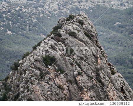 Rugged Landscape Adventure, Jagged Mountain Crest Spans Expansive Verdant Valley Beneath Diffuse Daylight 136639112