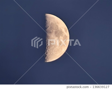 Calm Lunar Scene With Serene Background, Soft Daylight Captures Tranquil Moon With Textured Surface 136639127