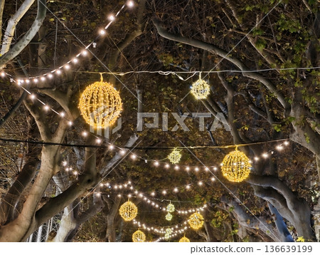 Illuminated Tree Canopy, Gentle Glow From Spherical Bulbs Decorates Night Market Scene Beautifully 136639199