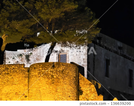 Historic Stone Fortress Illuminated At Night, Fortress Bathed In Warm Light Against Cold Night Sky Historic Stone Fortress Illuminated At Night, Fortress Bathed In Warm Light Against Cold Night Sky 136639200