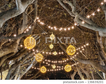 Festive Twilight Atmosphere With Radiant Orbs Creates Magical Setting For Night Explorers And Photographers Festive Twilight Atmosphere With Radiant Orbs Creates Magical Setting For Night Explorers And Photographers 136639201