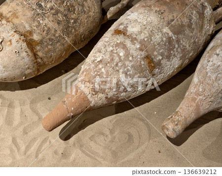 Intimate View Of Saltencrusted Amphora Necks Displaying Craftsmanship And Maritime Residue Clues Intimate View Of Saltencrusted Amphora Necks Displaying Craftsmanship And Maritime Residue Clues 136639212