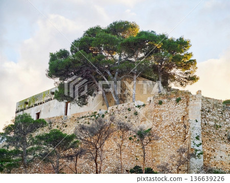 Sundrenched Summit With Pine Trees, Elevated Citadel Featuring Pine Trees And Panoramic Landscape Views Sundrenched Summit With Pine Trees, Elevated Citadel Featuring Pine Trees And Panoramic Landscape Views 136639226