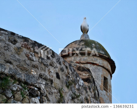 Ancient Stone Watchtower With Marine Bird, Weathered Coastal Tower Topped By Seagull Overlooking Sky Ancient Stone Watchtower With Marine Bird, Weathered Coastal Tower Topped By Seagull Overlooking Sky 136639231