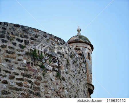 Carefully Crafted Stone Turret Seamlessly Integrates With Calm Sky Backdrop For Preservation And Education 136639232