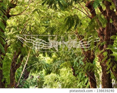 Bohemian Lounge With Natural Elements, Outdoor Sanctuary With Handcrafted Decor And Lush Greenery Bohemian Lounge With Natural Elements, Outdoor Sanctuary With Handcrafted Decor And Lush Greenery 136639240