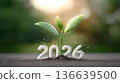 Delicate glowing seedling emerging from soil with the year 2026 displayed in white numbers, surrounded by soft light and natural greenery 136639500
