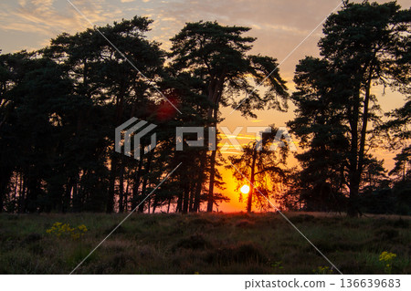 Landscape with sunset on the Veluwe Landscape with sunset on the Veluwe 136639683