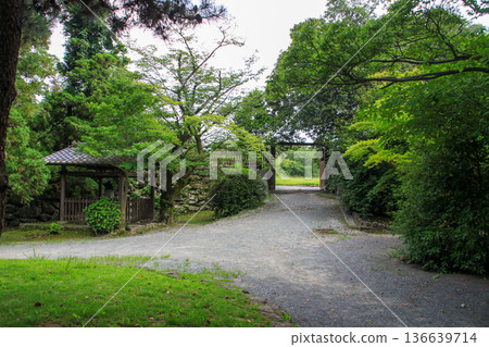 福岡城堡玩具 136639714