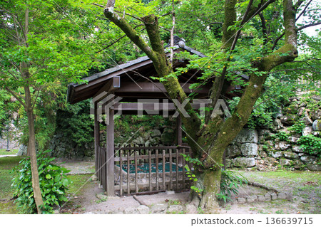 福岡城堡玩具 136639715