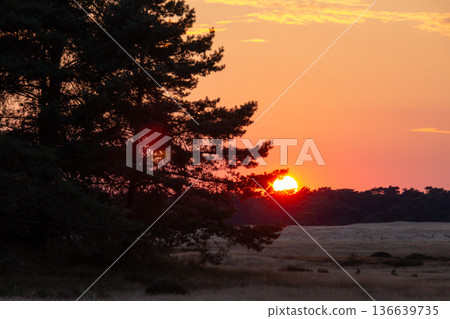 Landscape with sunset on the Veluwe Landscape with sunset on the Veluwe 136639735