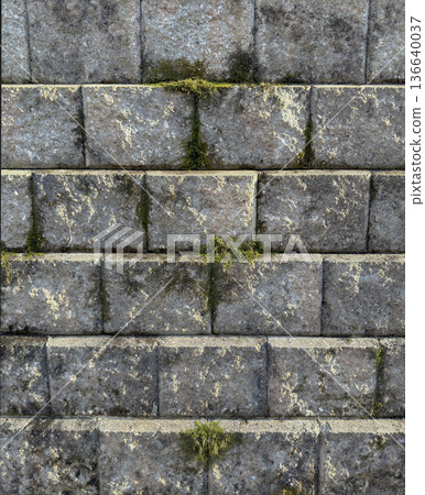 Weathered Brick Wall with Moss Growth Texture 136640037