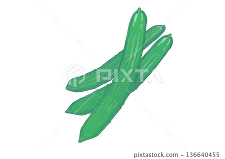 手繪三條新鮮黃瓜插圖 136640455