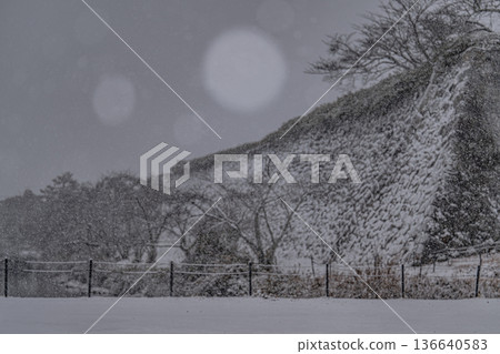 笹山城雪景 笹山城雪景 136640583