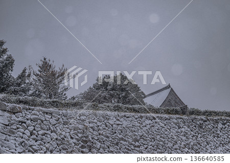 笹山城雪景 笹山城雪景 136640585