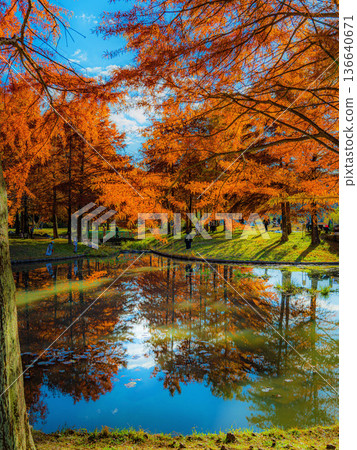 Autumn in Ono Park Autumn in Ono Park 136640671