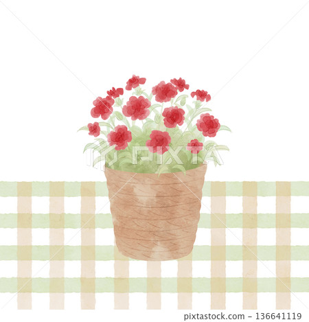 Potted red carnation and checkered background, square, watercolor style Potted red carnation and checkered background, square, watercolor style 136641119