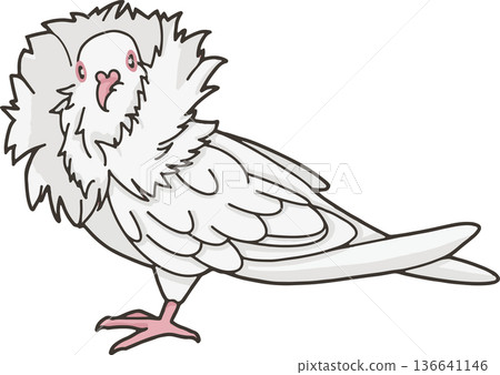 Illustration of a Jacobin (ornamental pigeon) (horizontal orientation, transparent background) Illustration of a Jacobin (ornamental pigeon) (horizontal orientation, transparent background) 136641146