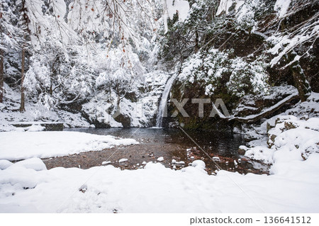 Yokoya Gorge (winter): Shirataki waterfall 136641512