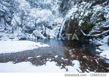 Yokoya Gorge (winter): Shirataki waterfall Yokoya Gorge (winter): Shirataki waterfall 136641533
