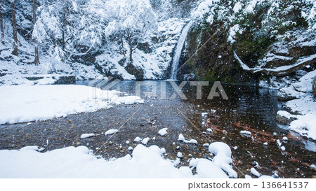 Yokoya Gorge (winter): Shirataki waterfall Yokoya Gorge (winter): Shirataki waterfall 136641537