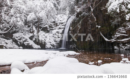 Yokoya Gorge (winter): Shirataki waterfall Yokoya Gorge (winter): Shirataki waterfall 136641668
