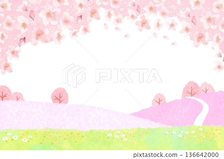 A decorative frame illustration of a warm spring image with cherry blossoms in full bloom A decorative frame illustration of a warm spring image with cherry blossoms in full bloom 136642000