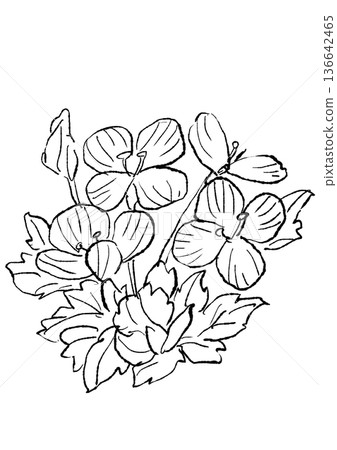 手繪線條畫，描繪了盛開的波斯花。 136642465