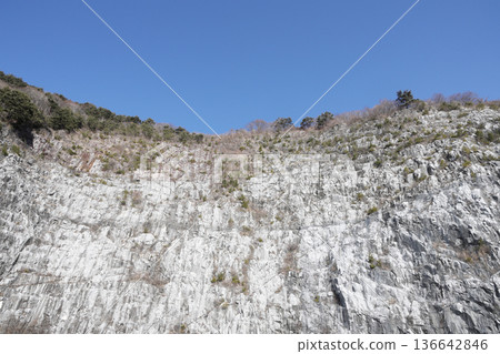 阿武隈洞窟石灰岩 136642846