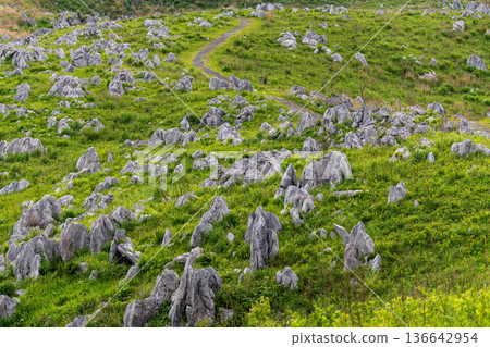 Walking along the Karst Road in Akiyoshidai, a landscape of fresh greenery and white rock faces Walking along the Karst Road in Akiyoshidai, a landscape of fresh greenery and white rock faces 136642954