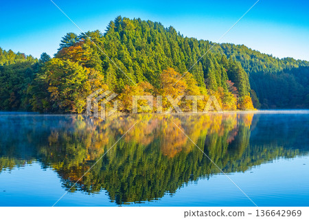 秋葉倒映在水面上 136642969