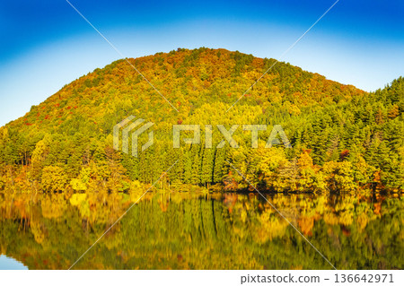 秋葉倒映在水面上 136642971